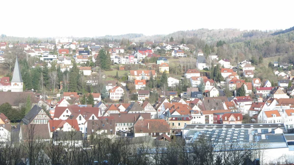 Stadtansicht von Lorch