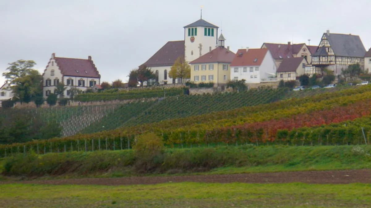 Stadtansicht von Sachsenheim